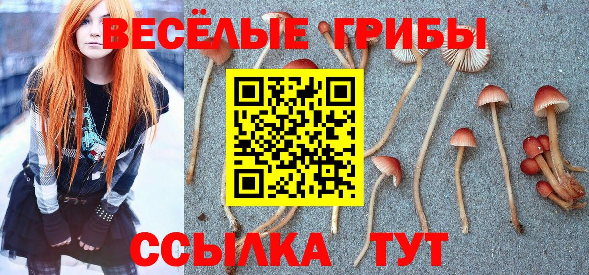 Гашиш  МЕТ  Канабис  Кокаин  ГАШ  Вход с VPN  Луга  Мефедрон кристаллы  Наркошоп 