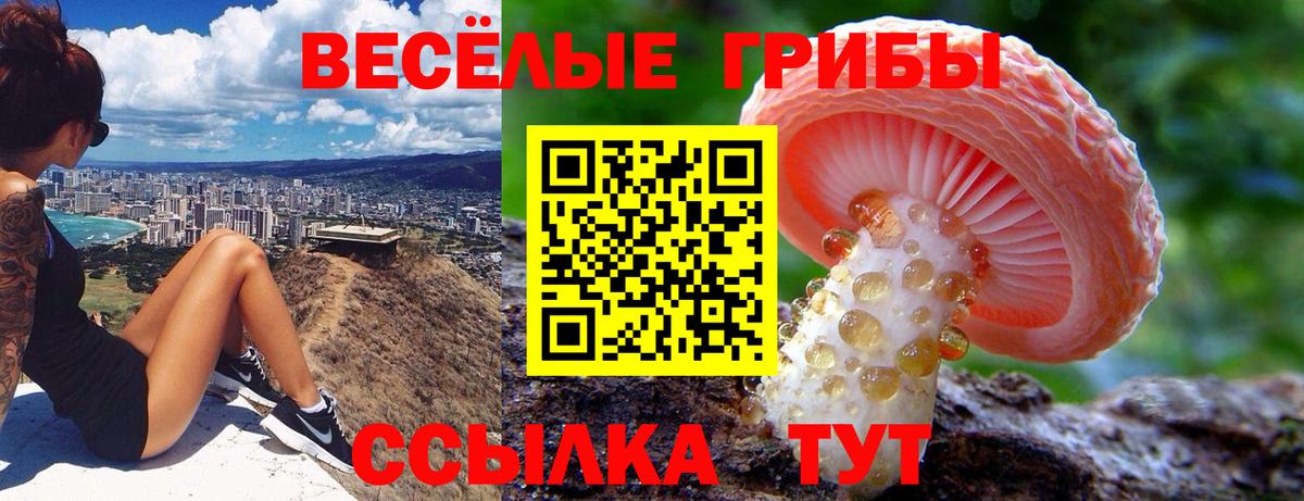 магазин продажи наркотиков  Псилоцибиновые грибы Cubensis  Вход с VPN  Луга 