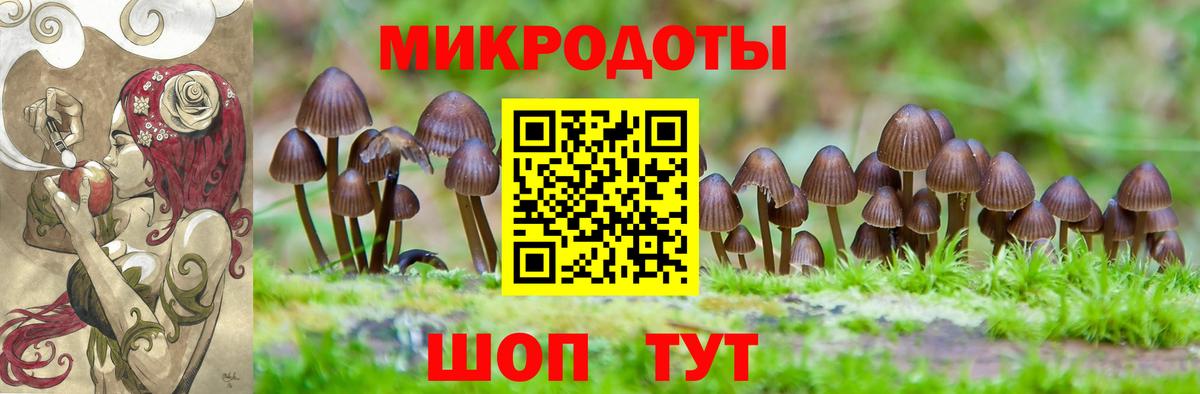Галлюциногенные грибы ЛСД Луга